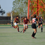 Siete….. Que te parece