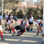Una Montaña de goles