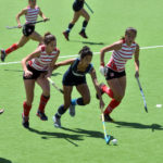 ¡Seis para triunfar!