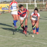 Pre Vendimia a la vista