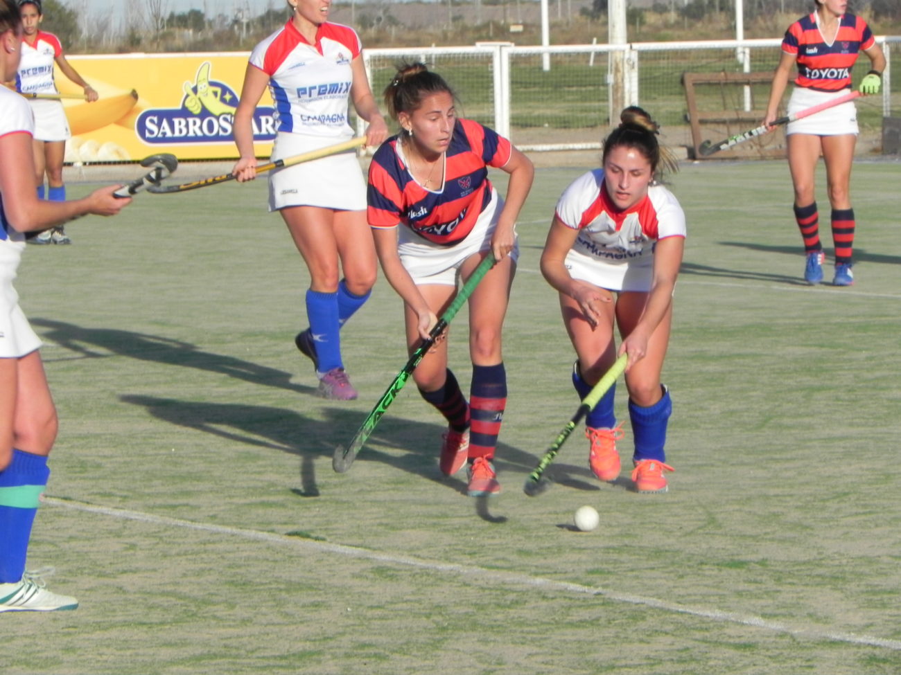 Pre Vendimia a la vista