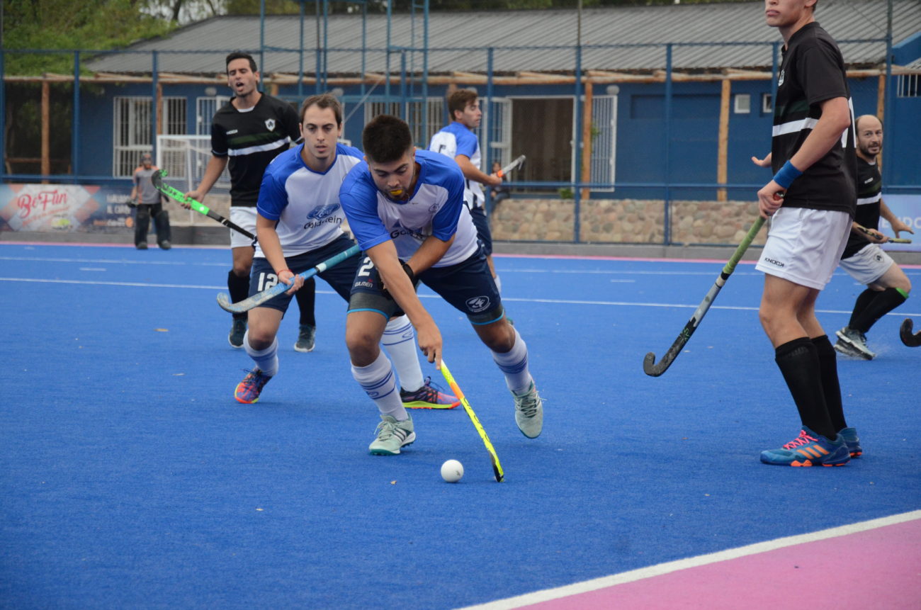 Pre Vendimia en fase definitoria