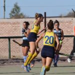 El Canario toma vuelo