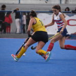 Entre Toritas y Canarias