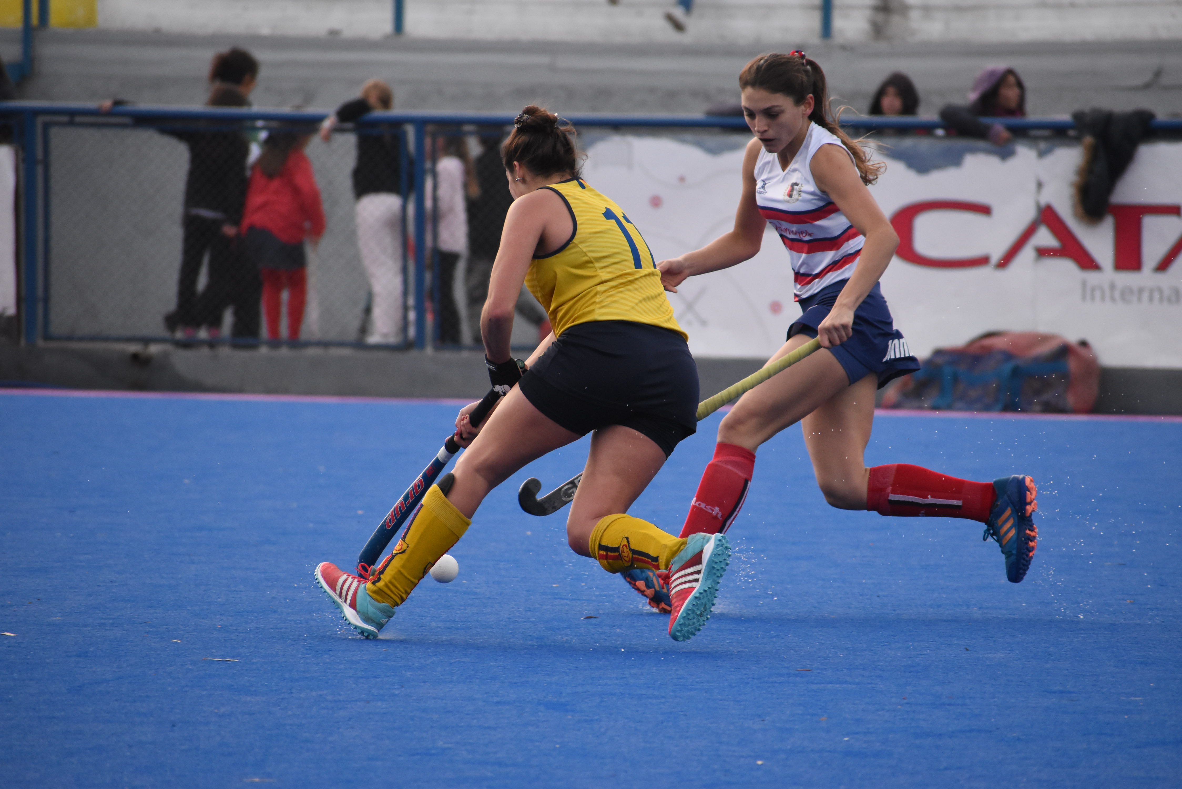 Entre Toritas y Canarias