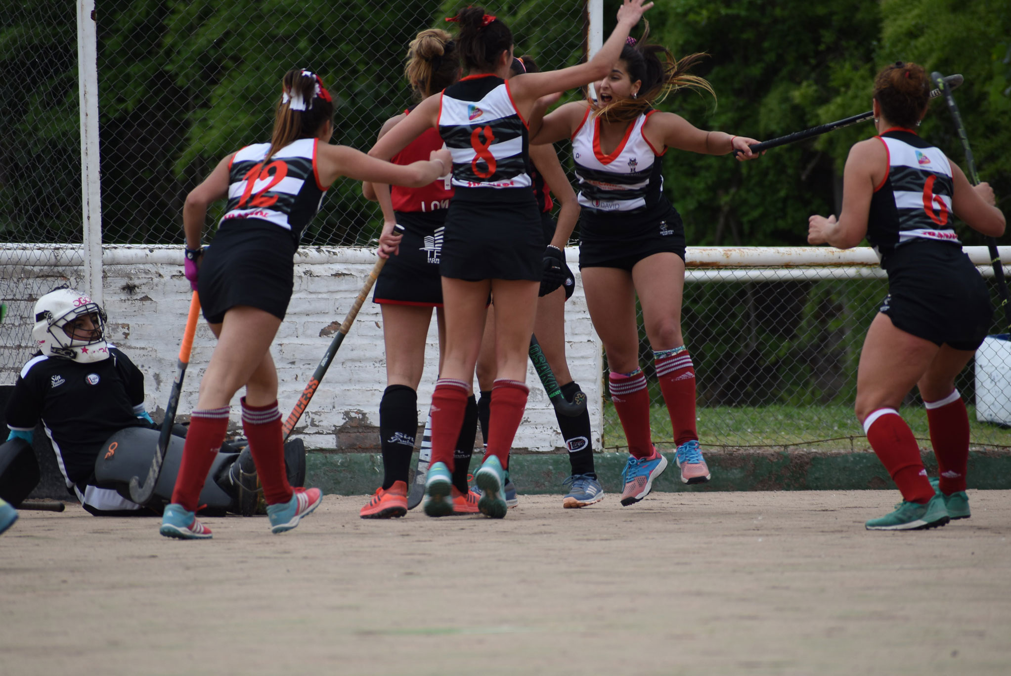 Salvadas y clasificadas