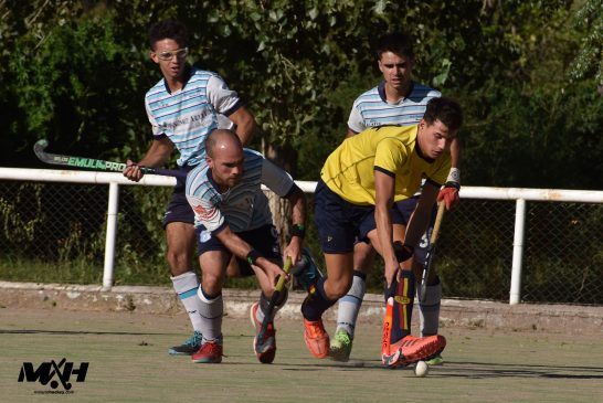 banco13