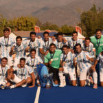 Leones dorados en Chile