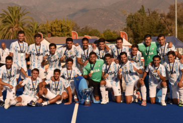 Leones dorados en Chile